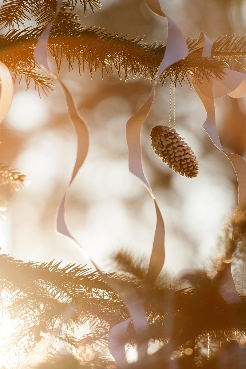 DIY Holiday Ornaments